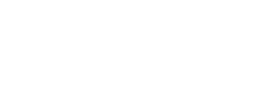 Logo BusinessWave